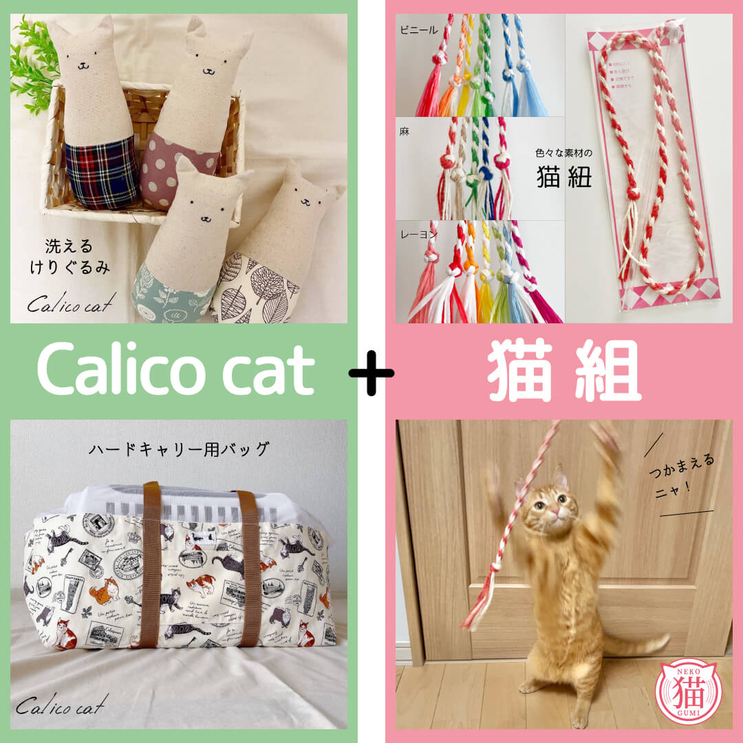 Calico cat ＋ 猫組 
