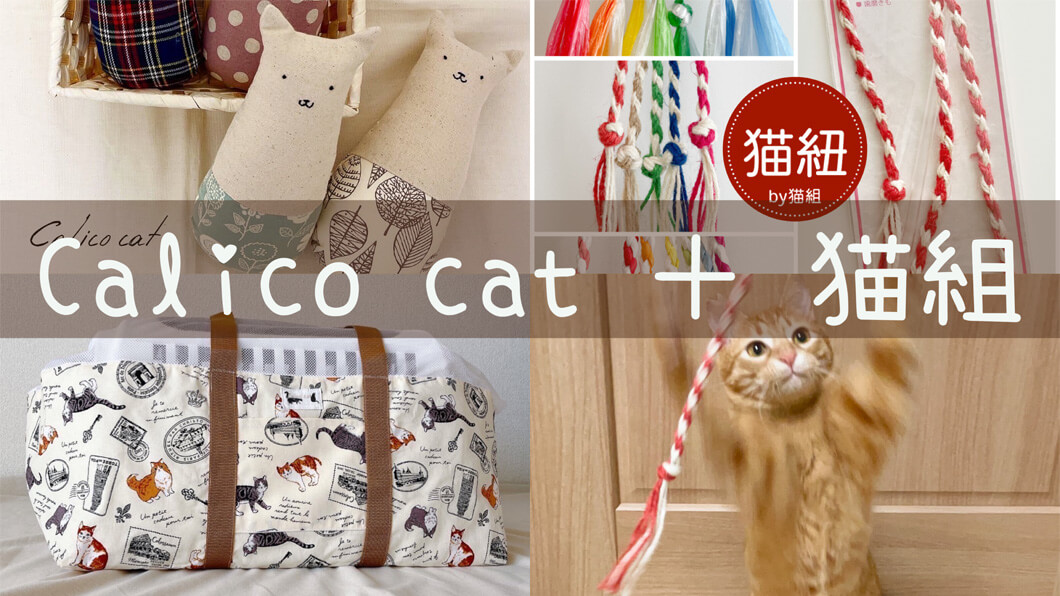 Calico cat ＋ 猫組