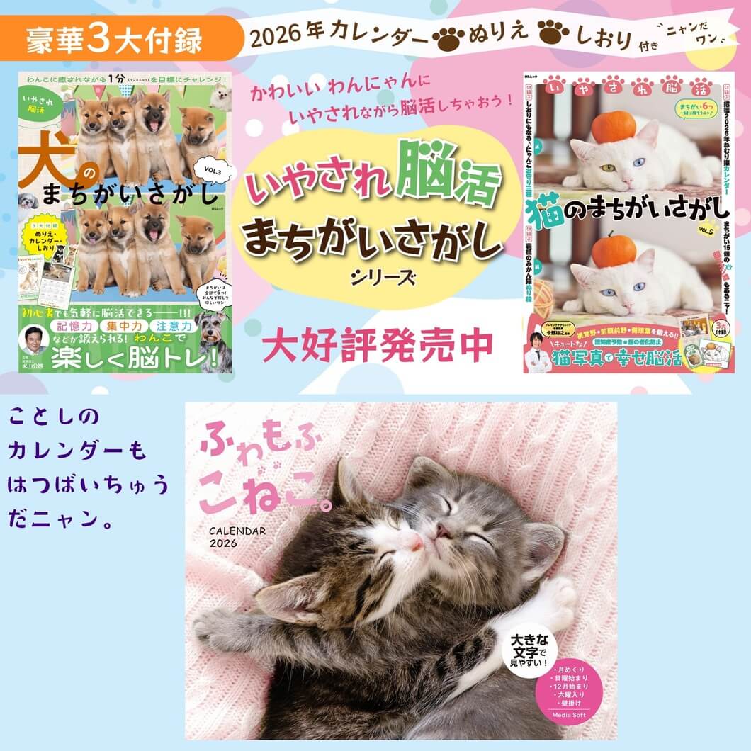 メディアソフト