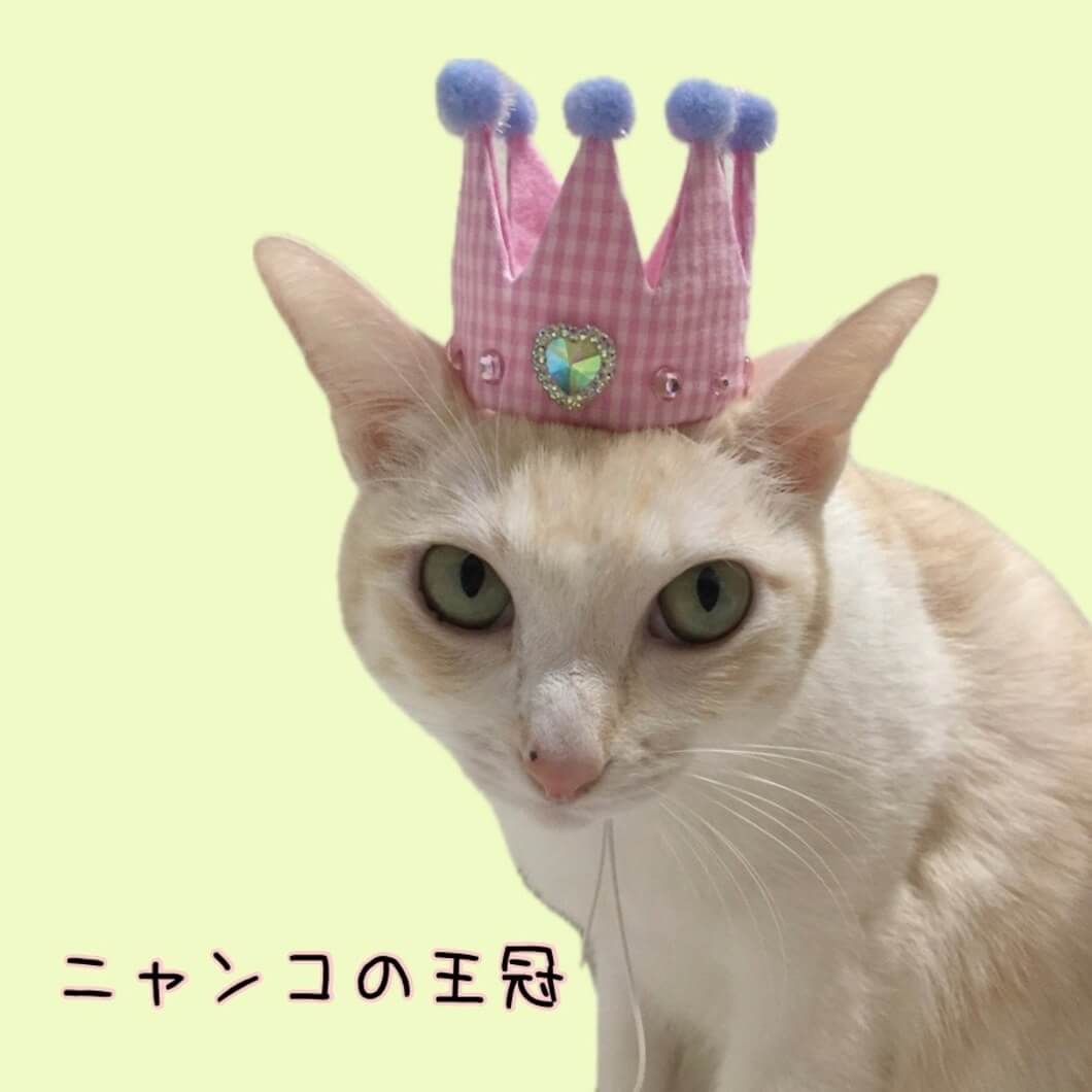 ニャンコの王冠