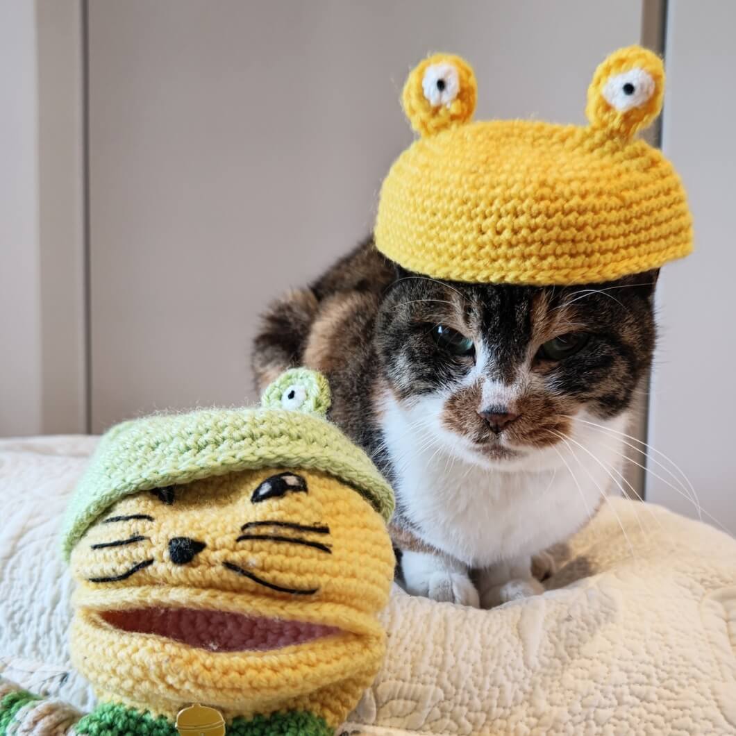 mi-capri(みかぷり)